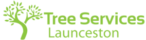 Tree Services Launceston Bigger