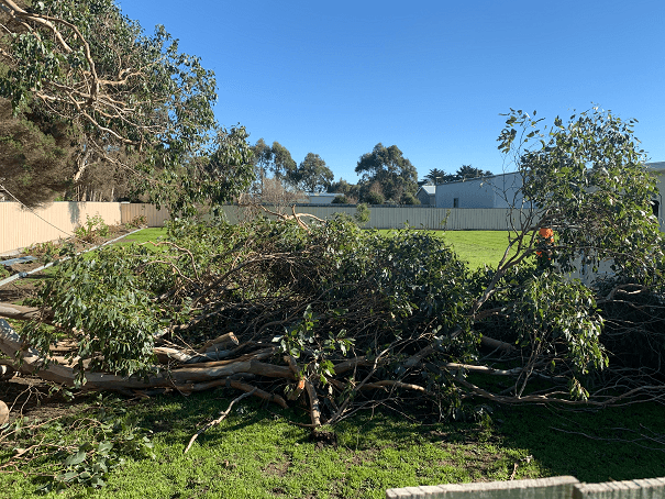 Tree service Perth